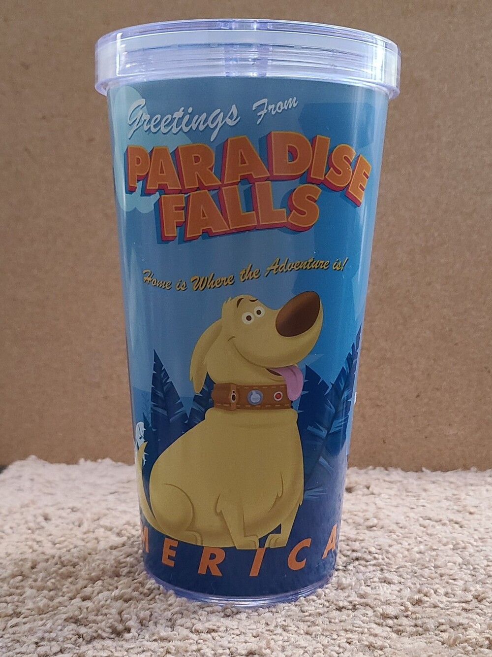Disney UP Paradise Falls Tumbler Cup Without Straw